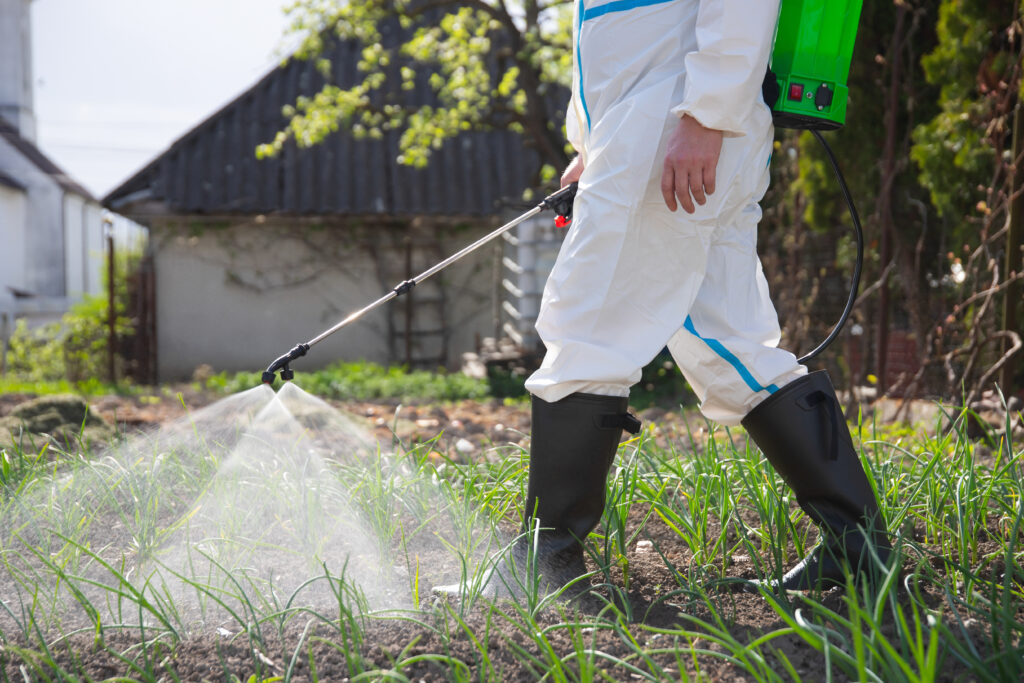 farmer spraying fertilizer. pest control and plant diseases to o